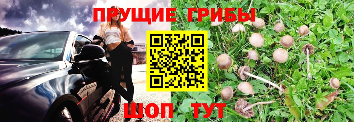 Псилоцибиновые грибы мухоморы  Вход с VPN  купить   Балашиха 