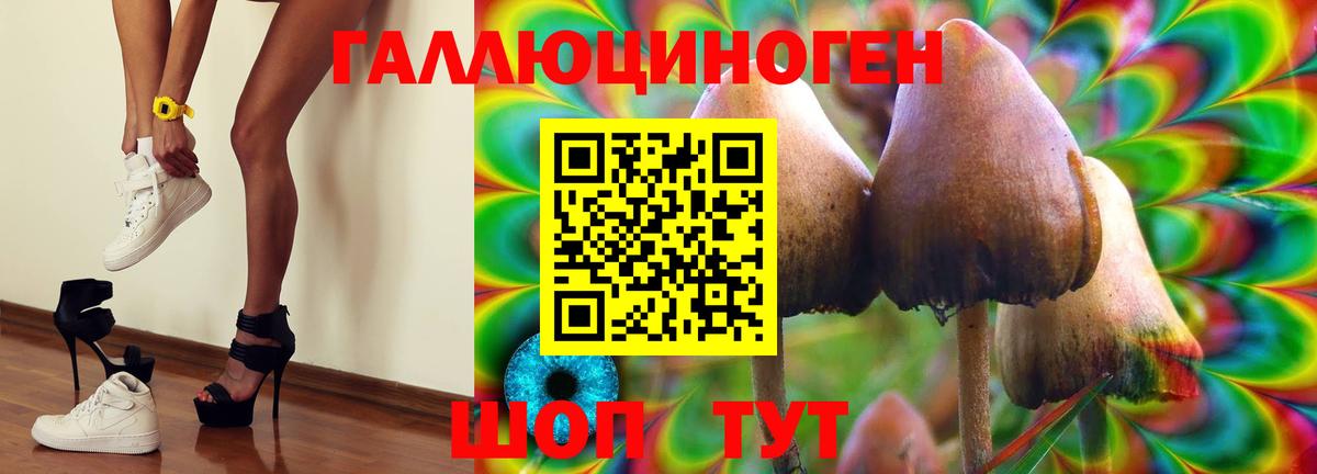 Псилоцибиновые грибы Cubensis Балашиха